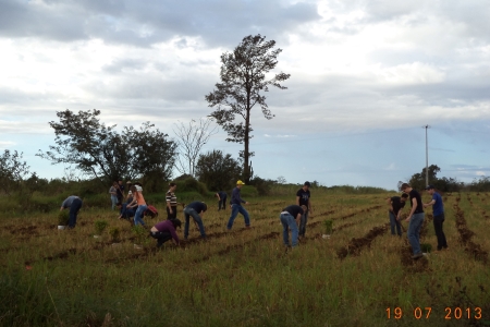 PLANTIO DE ARVORES TURMA AGRONOMIA UNIOESTE